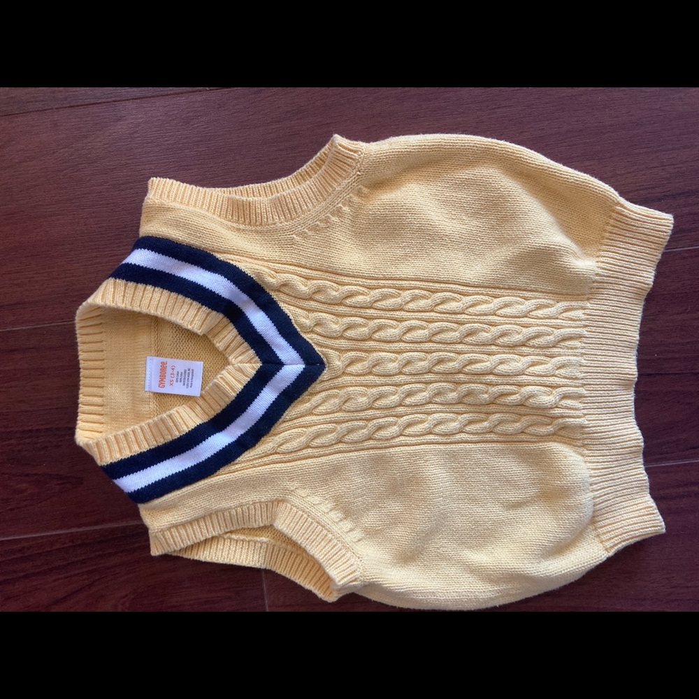 Gymboree S (3-4T) Boys Sweater Vest